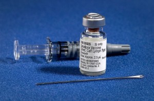 Secure Copies of Vaccination Records Now with OMR